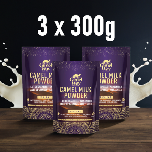 Leche de Camella 3x300g (900g Total) | Pack Familiar