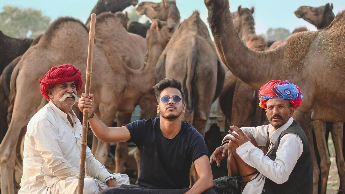 Where to Buy Camel Milk Near Me?