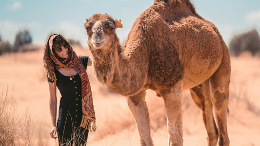 Is Camel Milk Good for Your Heart?