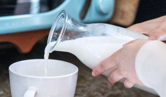 Where to Buy Camel Milk Online? The 2026 Guide to Sourcing Pure, EU-Certified A2 Camel Milk