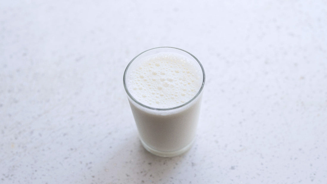 How to Buy Premium Camel Milk Online in UK, Ireland & Nordics