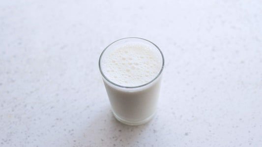 How to Buy Premium Camel Milk Online in UK, Ireland & Nordics