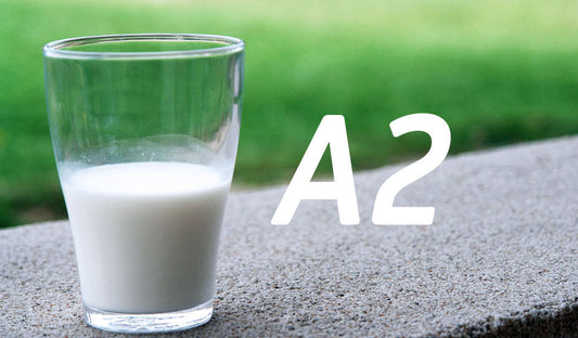 Where to Buy Pure A2 Milk Online? The Safest Dairy Alternative in 2026