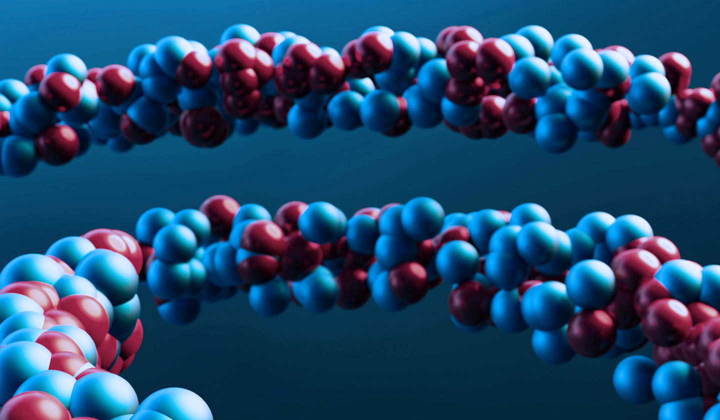 Camel Milk and Lactoferrin - The Bioactive Immune Shield and Gut Barrier Restoration