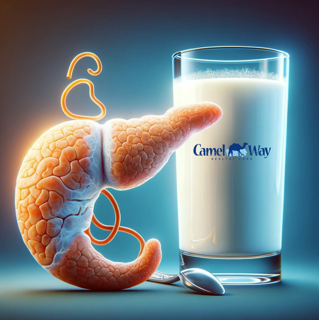CamelWay Camel Milk Enhancing Pancreatic Function